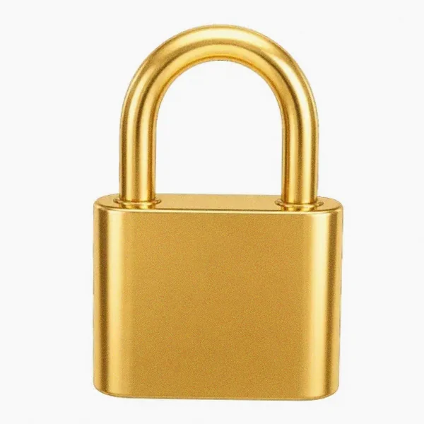 Orange padlock — Lucky Barry