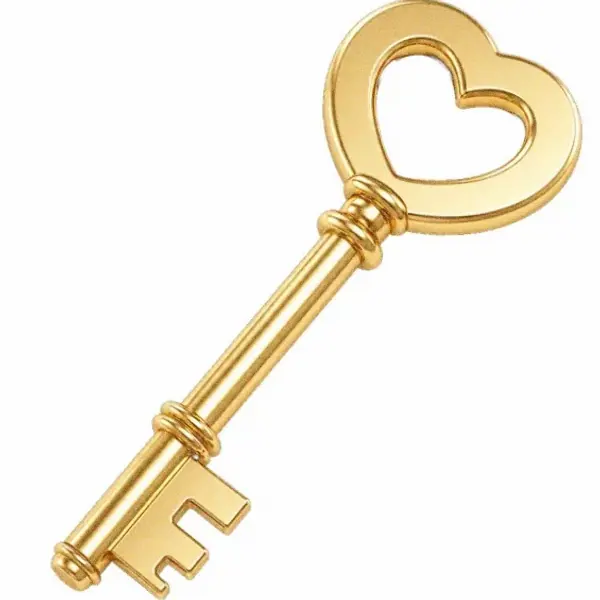 Ornate antique key — Lucky Barry