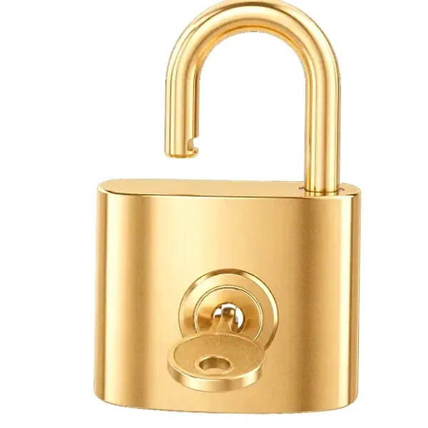 Open padlock — Lucky Barry
