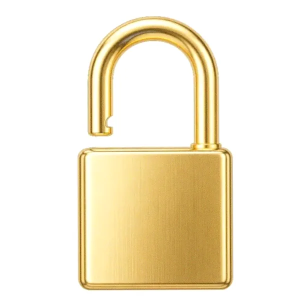 Padlock — Lucky Barry