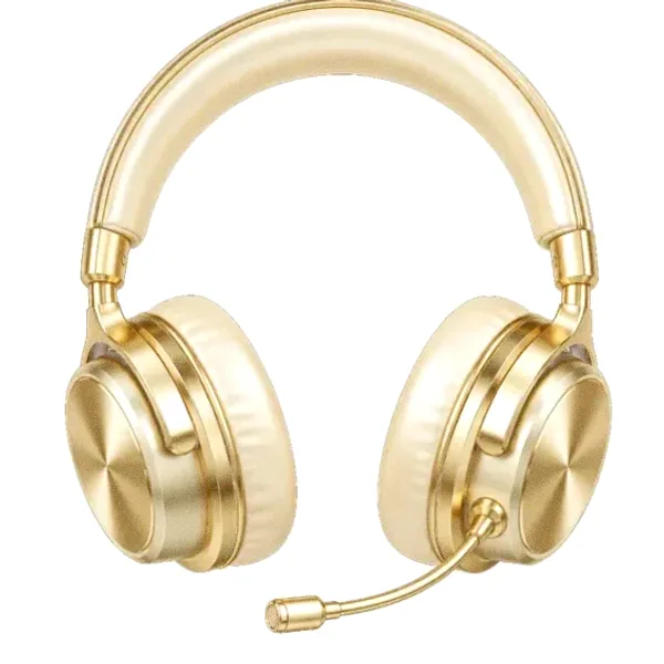 Headset with microphone — Lucky Barry